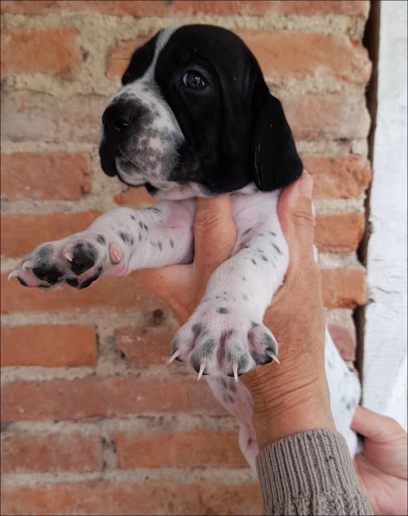 du ruisseau de Montbrun - De nouvelles photos des bébés