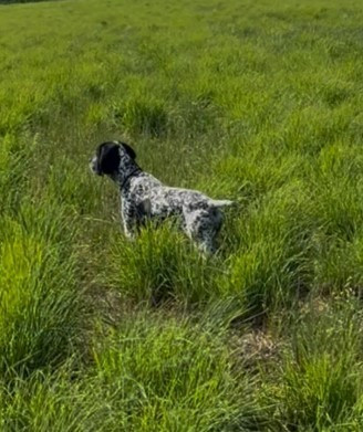 Vigie du ruisseau de Montbrun