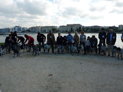 du ruisseau de Montbrun - Spéciale de Race de Martigues