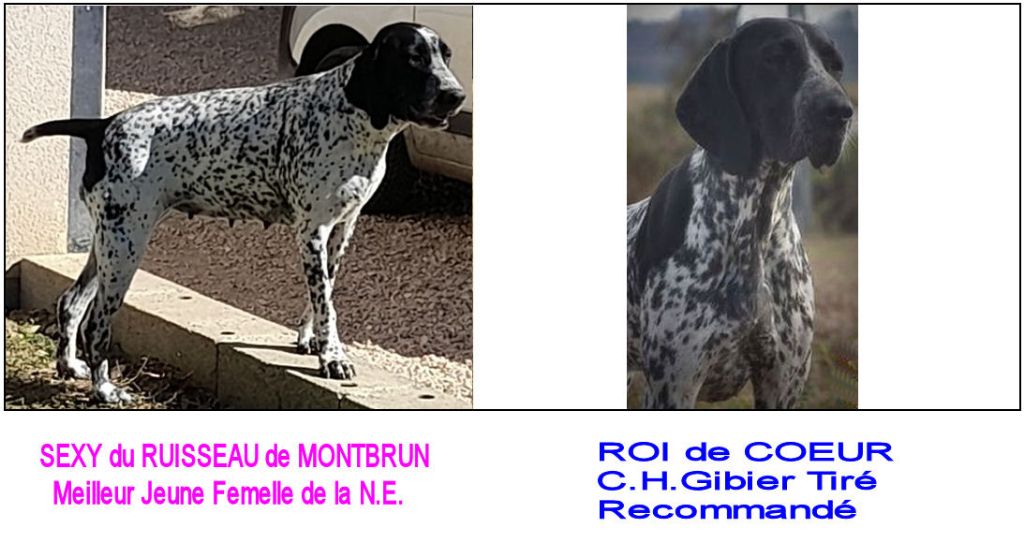Bientôt de nouveaux bébés