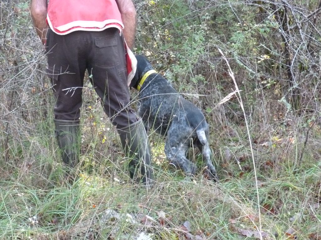 du ruisseau de Montbrun - ICP de Septfonds 29 Octobre