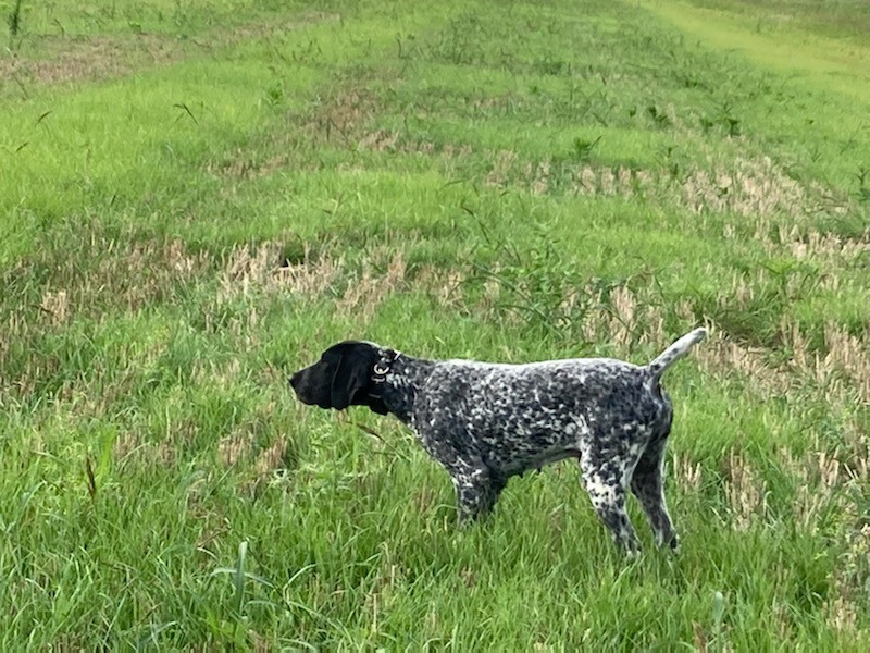 Bientôt des bébés