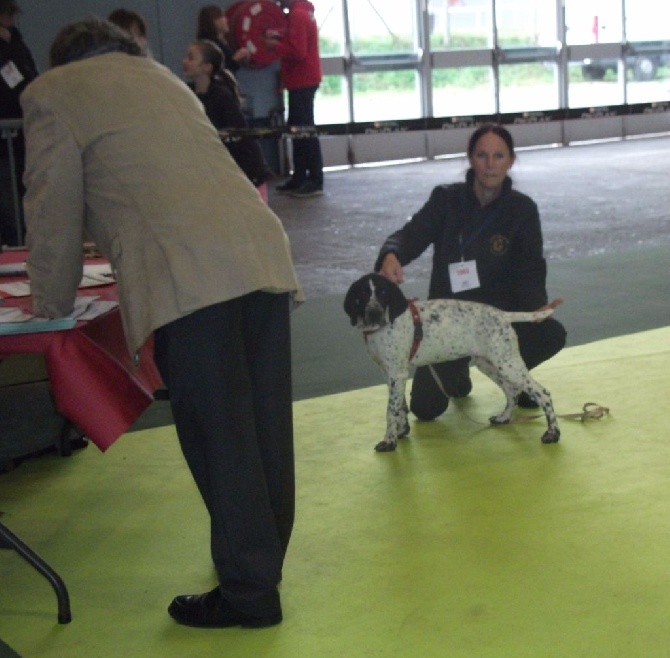 du ruisseau de Montbrun - Exposition Internationale de Tarbes