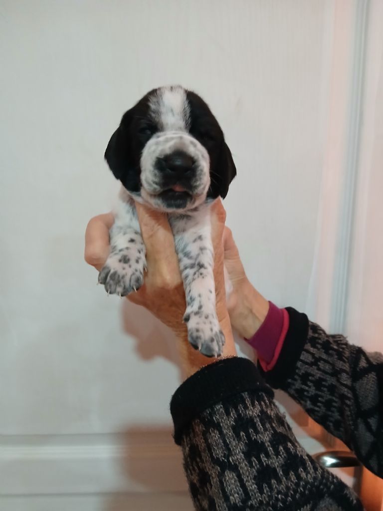 Les bébés ont 15 jours