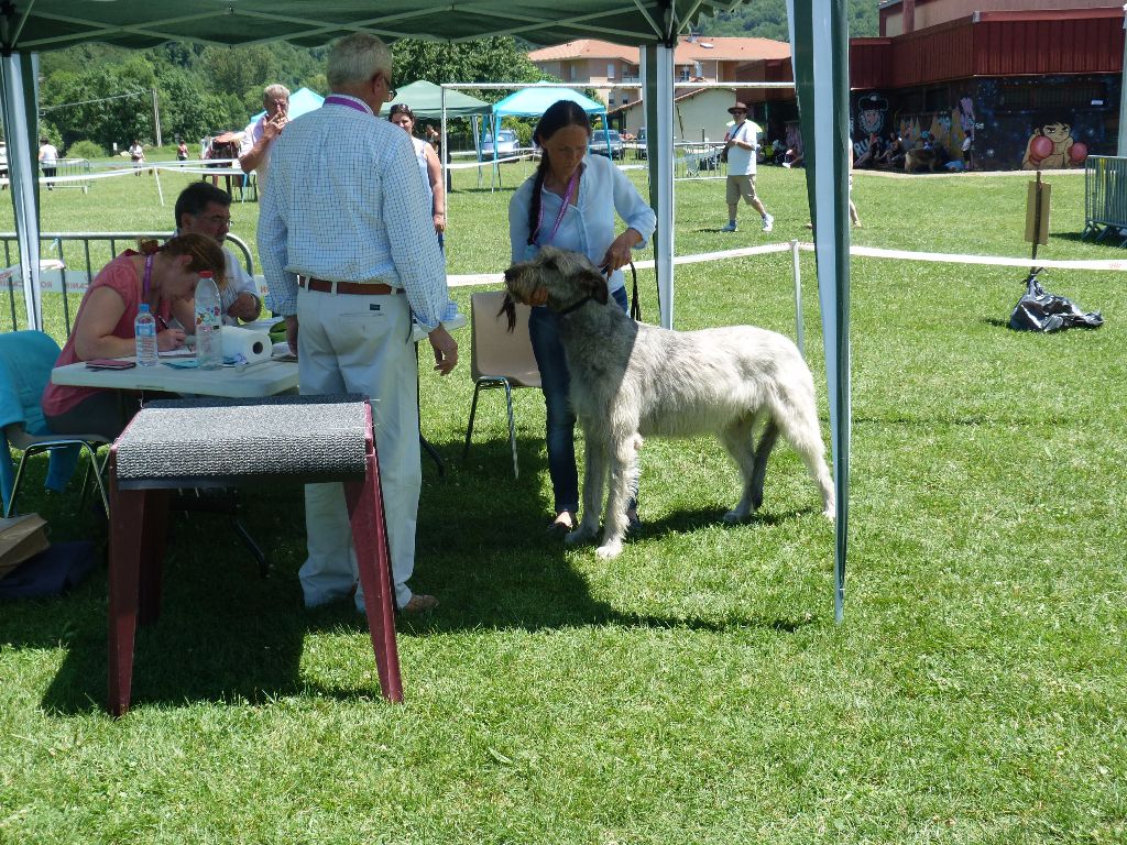 du ruisseau de Montbrun - St Girons