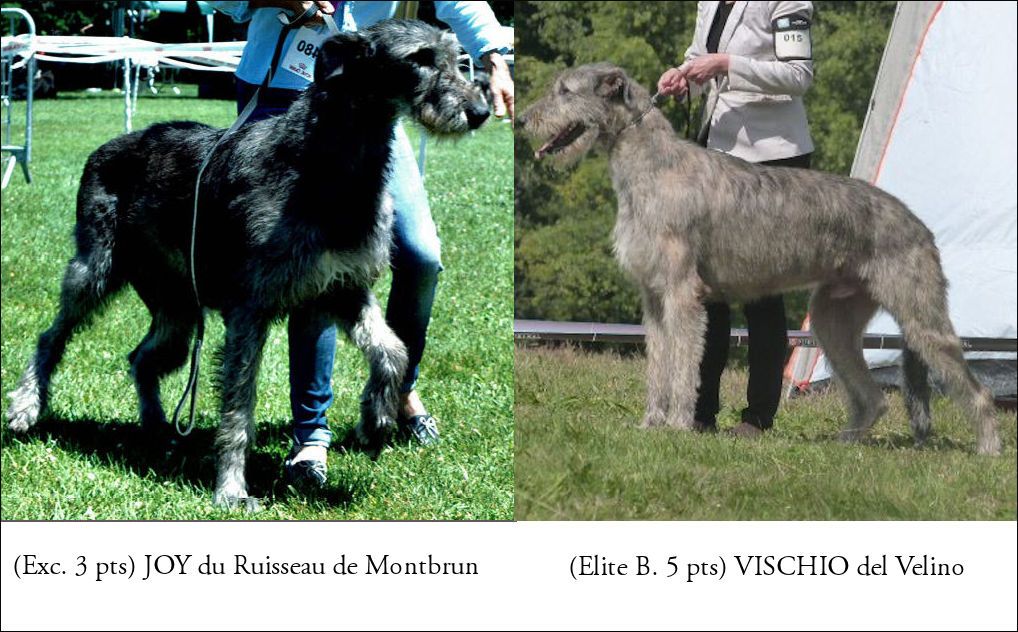 du ruisseau de Montbrun - Saillie de Joy