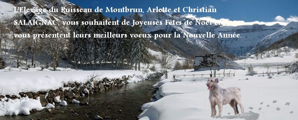 du ruisseau de Montbrun - Joyeuses Fêtes et Meilleurs Voeux