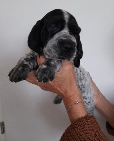 PHOTOS DES BEBES A 1 MOIS