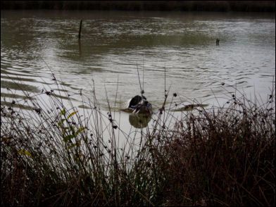 du ruisseau de Montbrun - Concours BICP de Bruce